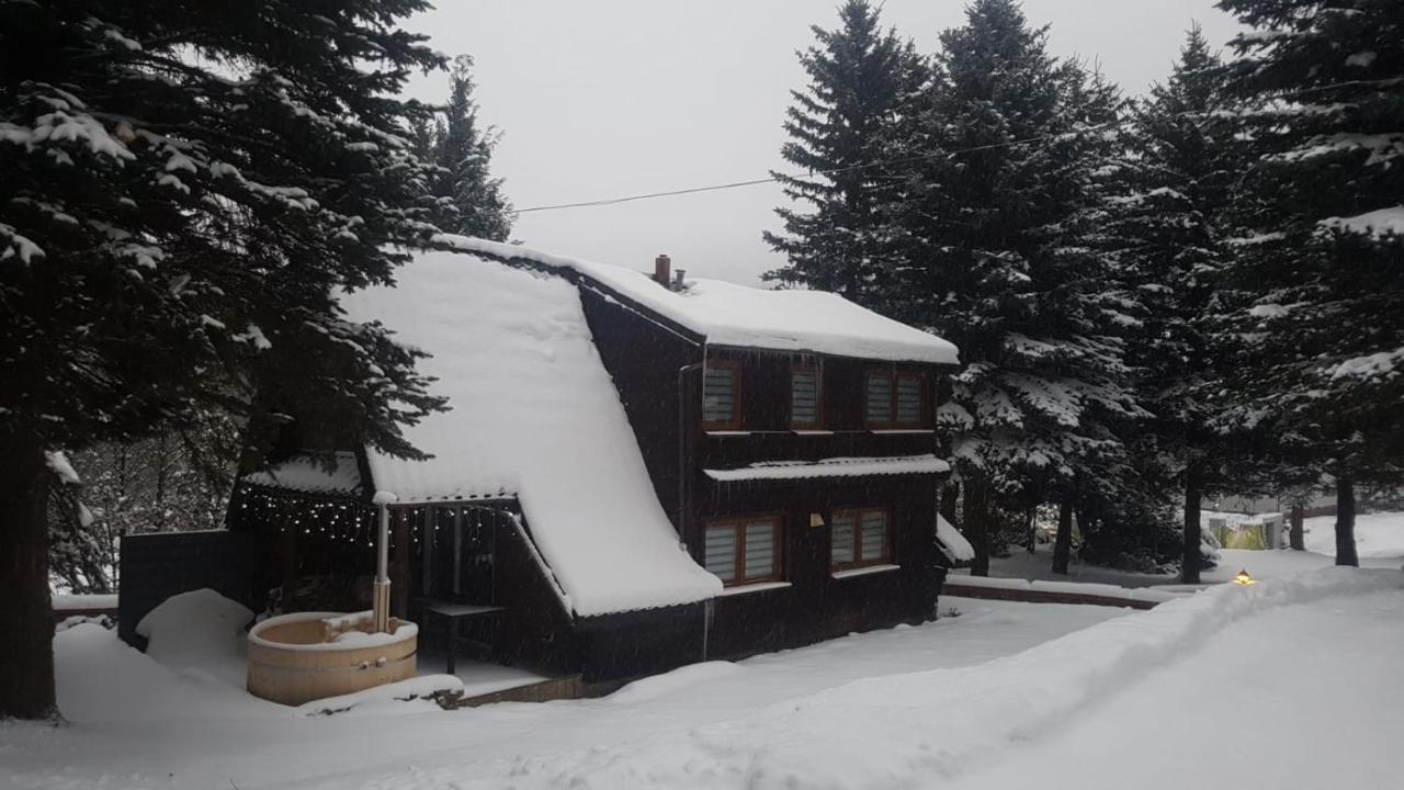 Oliwne Wzgorza Lodge *