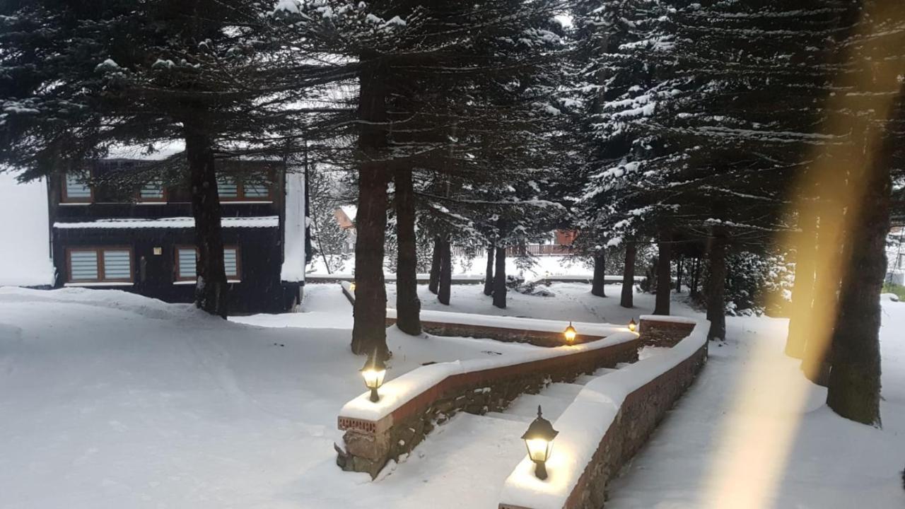 Lodge Oliwne Wzgorza Stronie Slaskie